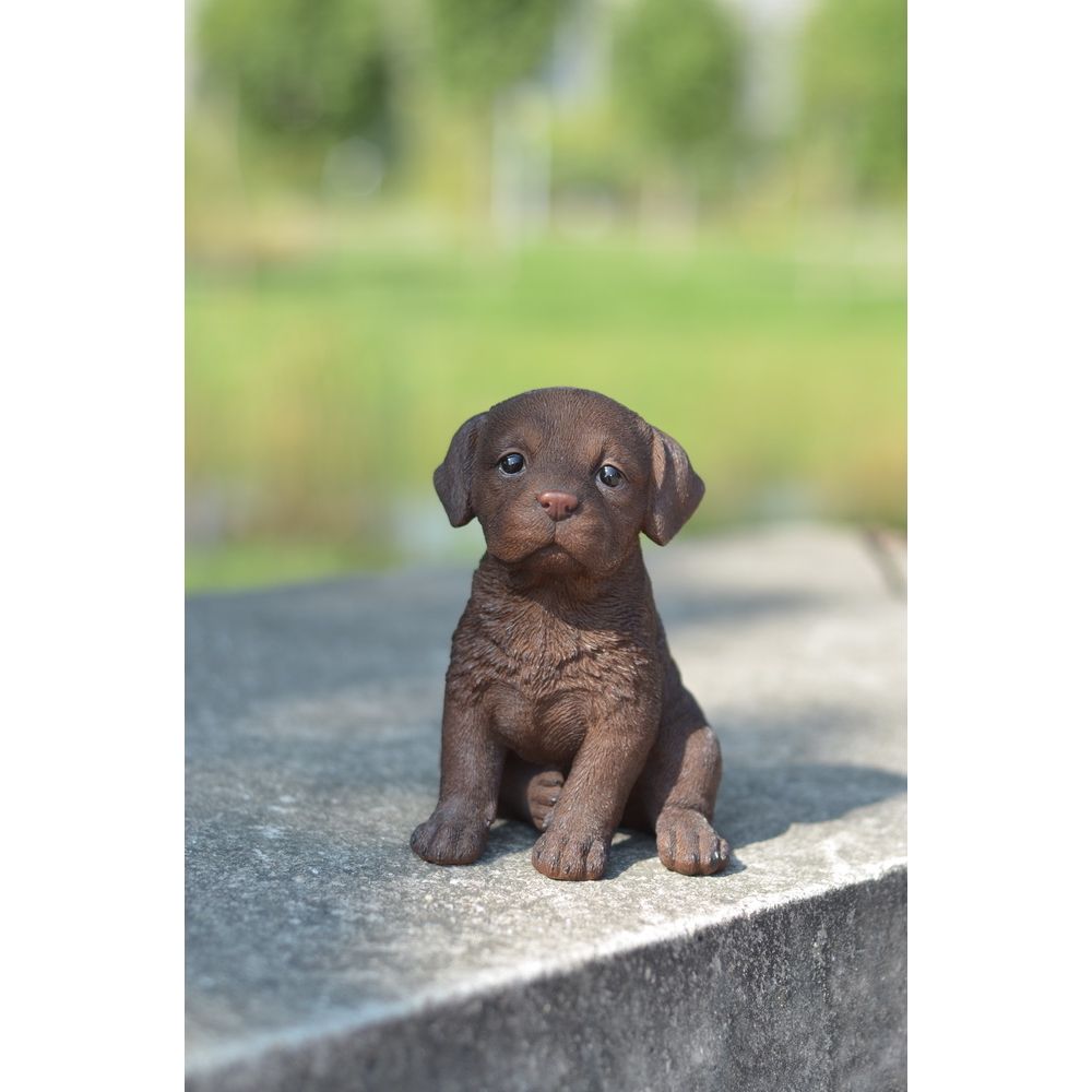 HiLine Gift Chocolate Brown Labrador Puppy Statue The Home Depot Canada