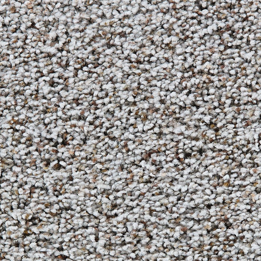 Beaulieu Canada True Affection Purplish Grey Carpet per Sq. Feet