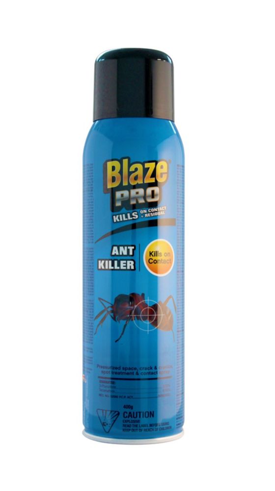 BLAZE Blaze Pro Ant Killer Spray 400g | The Home Depot Canada