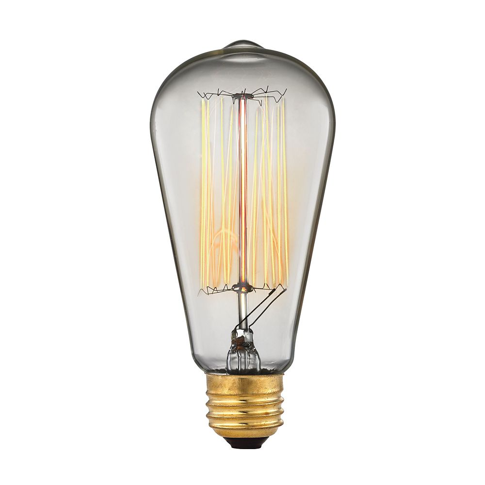 Titan Lighting Ampoule à Incandescence à Culot Moyen Style Vintage A19 Ogden 60 W Home Depot 8048