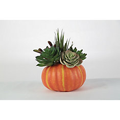 Arrangement floral fausse citrouille avec faux cactus, 6 po, modèles variés