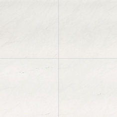 Aria Ice 24-inch x 24-inch Polished Porcelain Floor and Wall Tile (16 sq.ft. / Case)