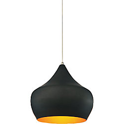 Dynamic 15-inch 1-Light Chandelier with Black Finish