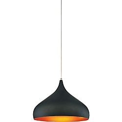 Dynamic 16-inch 1-Light Chandelier with Black Finish