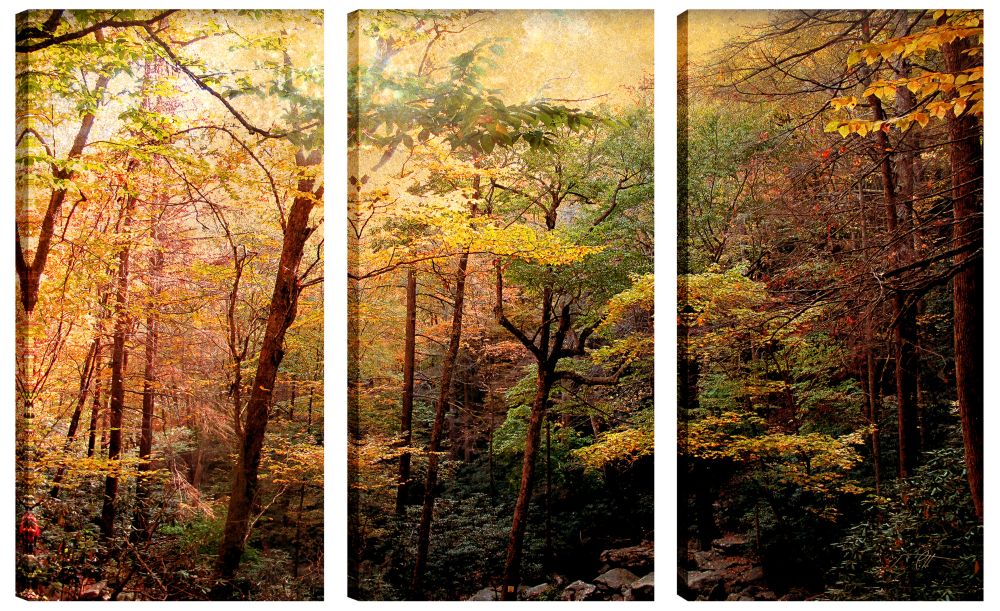 Art Maison Canada 24X12 Landscape Photography Rainbow Trees Canvas Wall ...