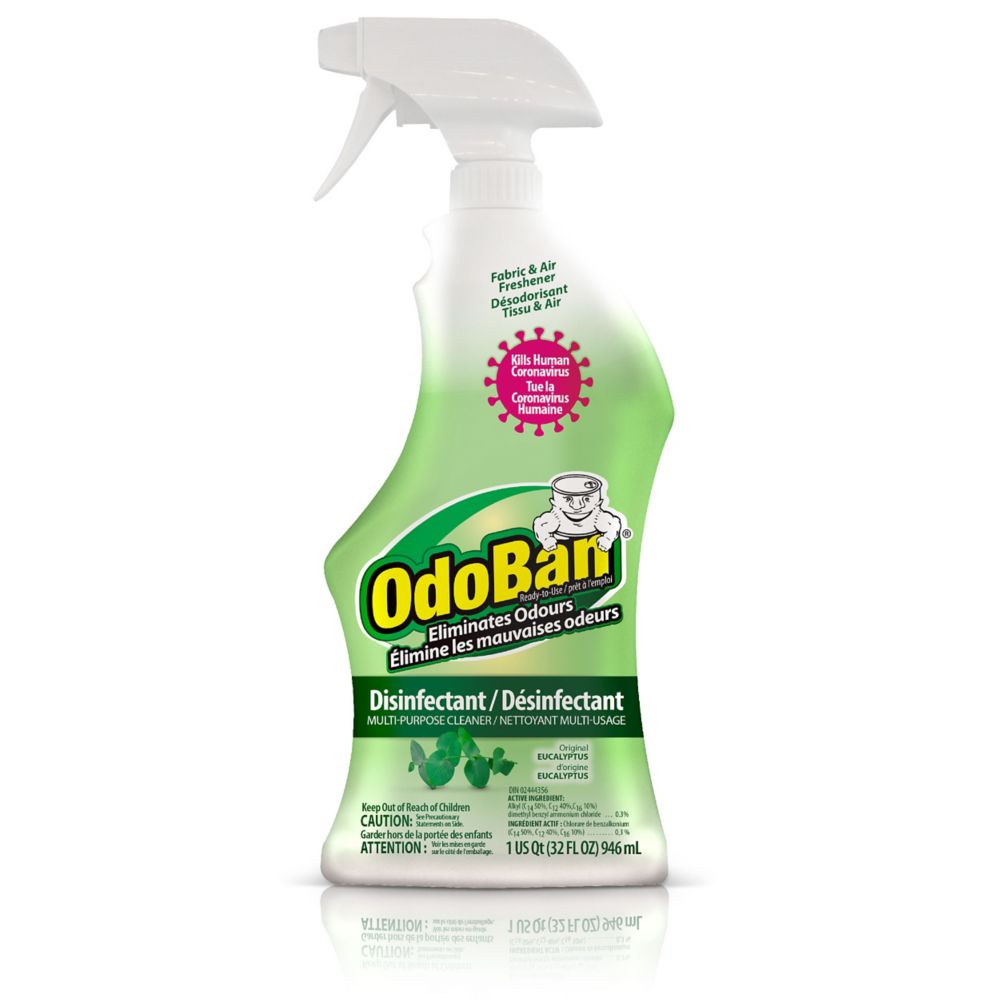 OdoBan Ready-to-Use Disinfectant Spray Eucalyptus 800 mL | The Home ...