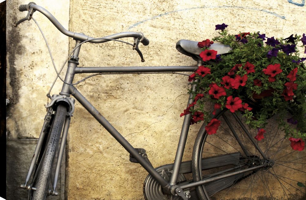 Art Maison Canada Bike Around Landscape Canvas Print Wall Décor 24x36 Ready To H The Home Depot - Bicycle Wall Art Canada Art Maison Canada Bike Around Landscape Canvas Print Wall Décor 24x36 Ready To H The Home Depot - Bicycle Wall Art Canada