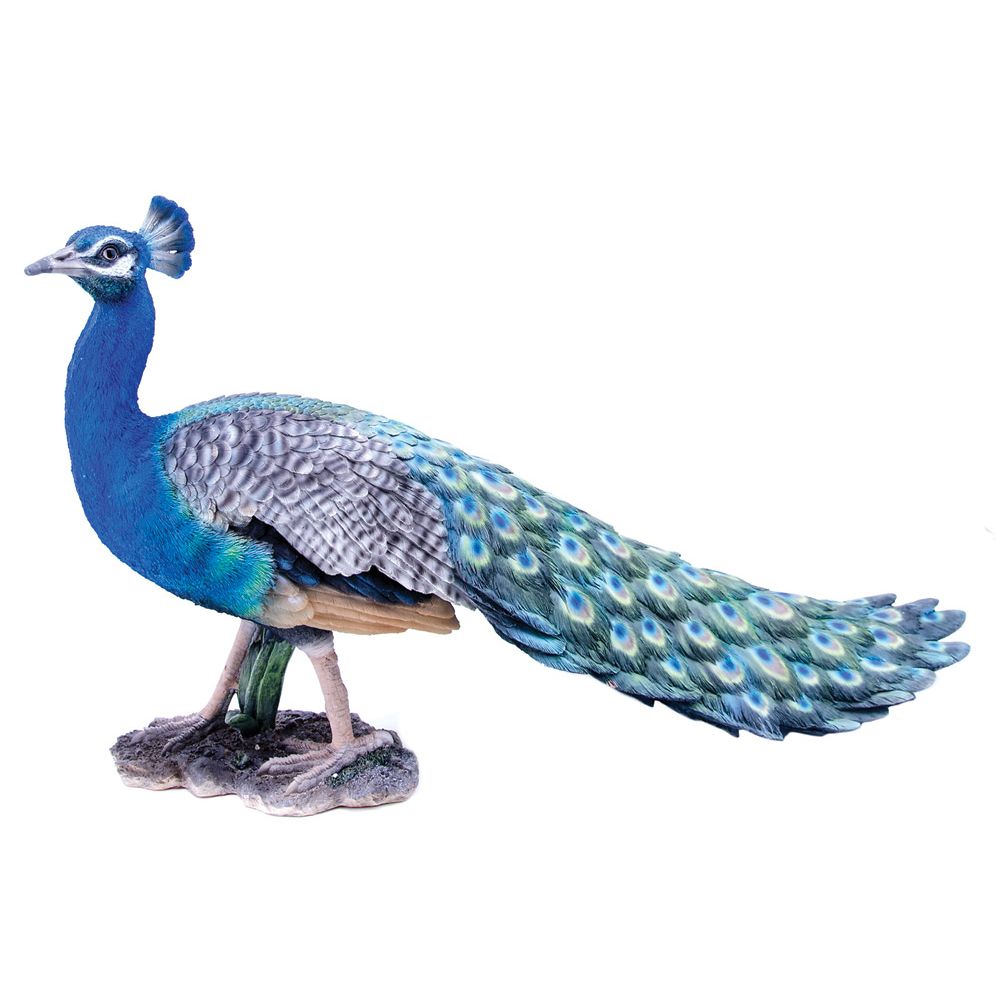 HiLine Gift Peacock Statue The Home Depot Canada