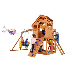 Big Backyard Acrobatic Swing