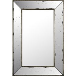 Thd 13 Inch X 49 Inch Framed Door Mirror In White