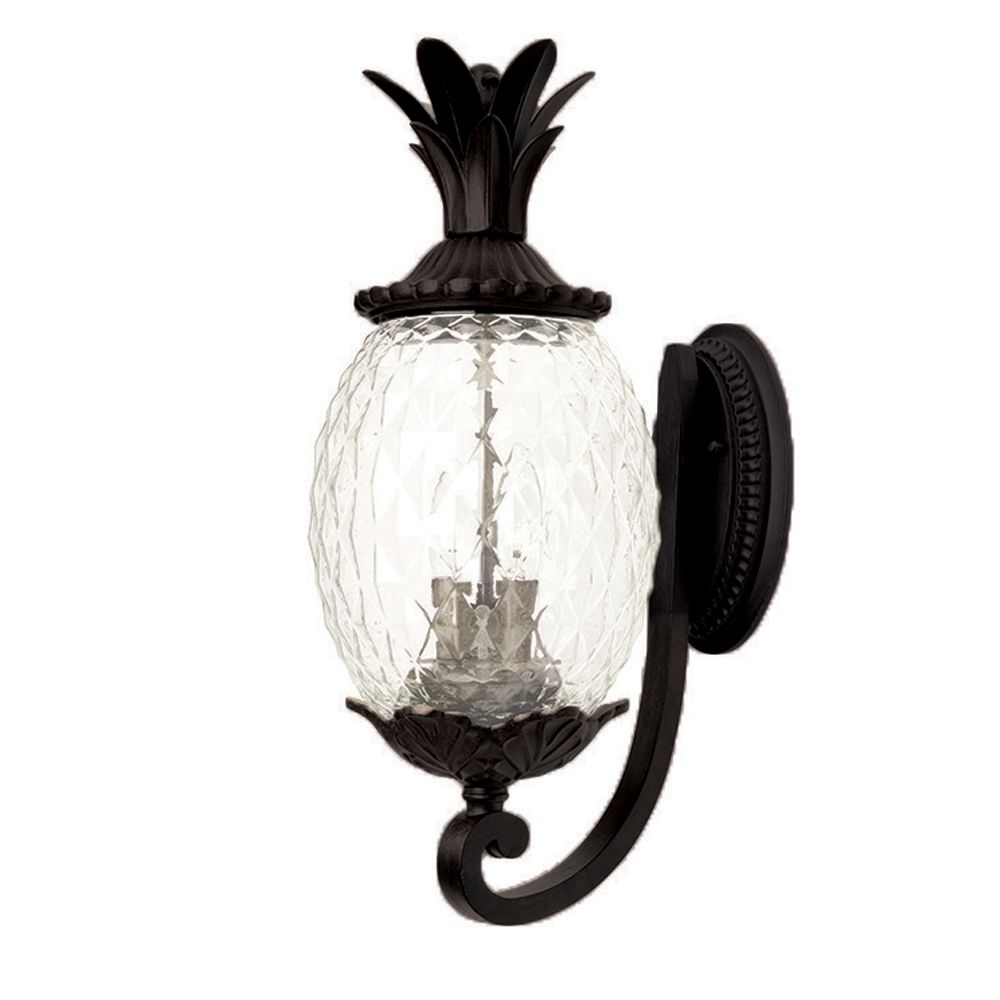 Acclaim LANAI Upward WallMount 2Light Outdoor Fixture in Matte Black