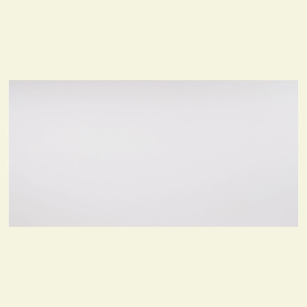 Genesis 2 Ft X 4 Ft Smooth Pro White Ceiling Panel Carton Of 10