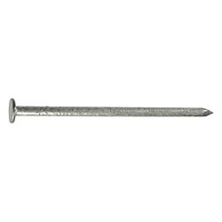 PAULIN 10-inch (100D) Common Framing Spike - Hot Dipped Galvanized