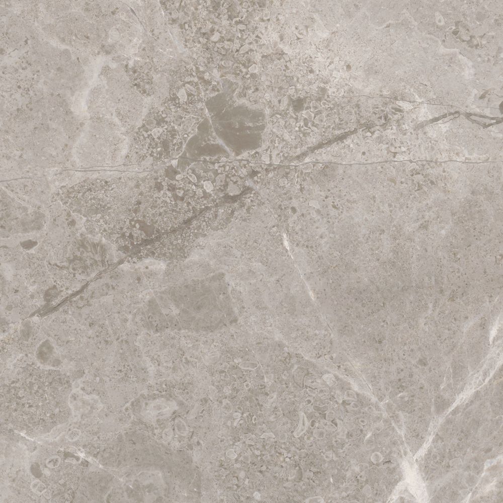 Enigma Salo 12inch x 12inch Honed Marble Tile (8 sq.ft. / case) The