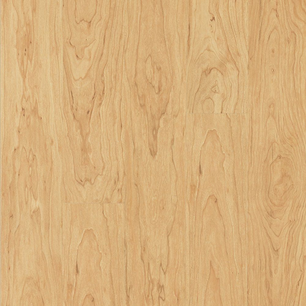 Pergo Outlast Northern Blonde Maple 10 Mm Thick X 5 23 Inch X