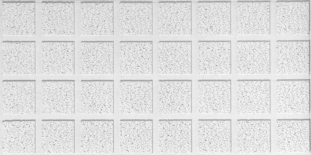 Radar Illusion R2862 2 Ft X4 Ft X 3 4 Inch Ceiling Tiles