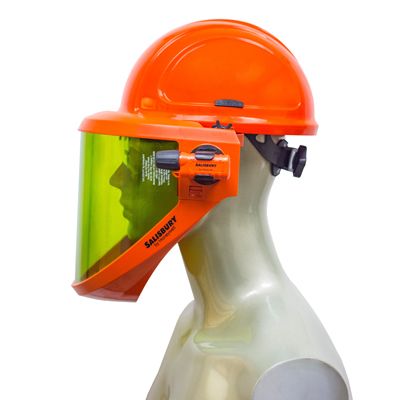 hard hat with built in face shield