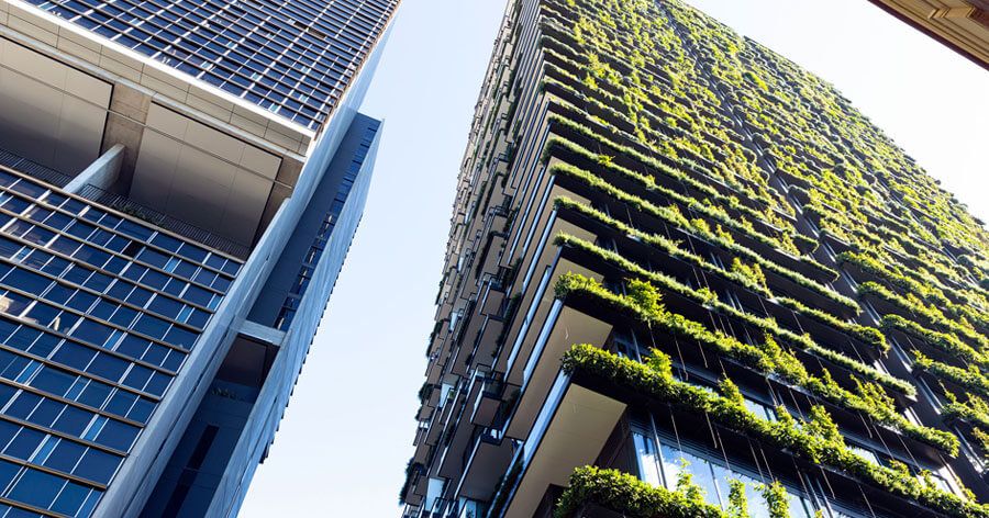 Building view from the ground