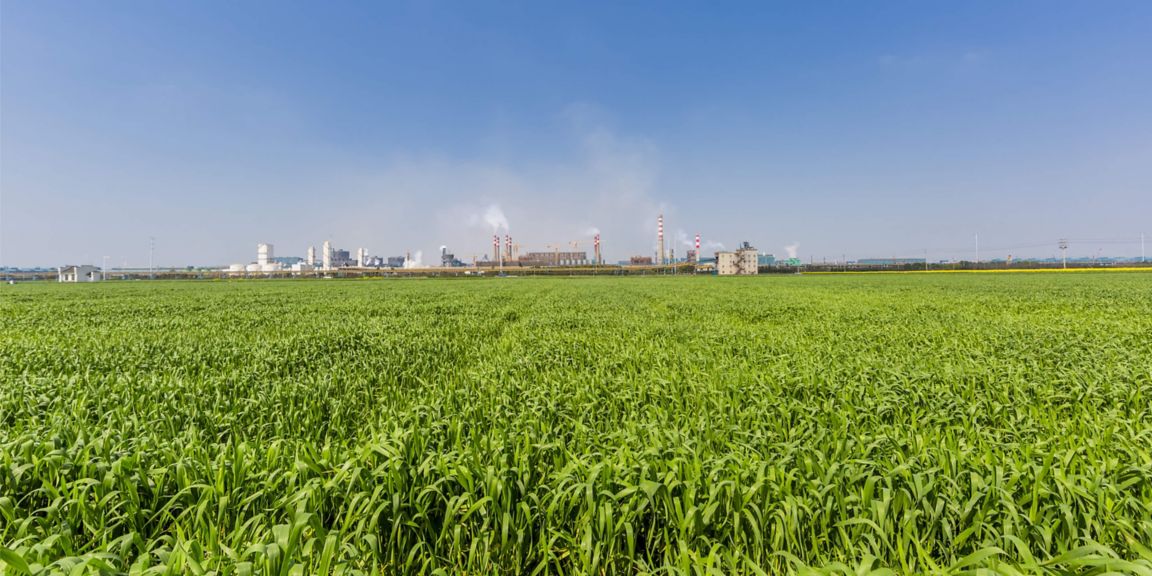 Carbon Capture