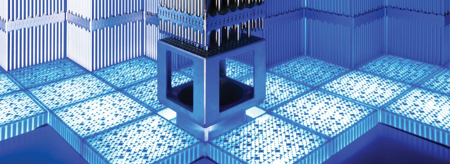 Nuclear Waste Remediation