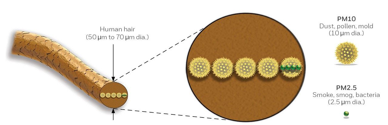 PM10 vs Human Hair Comparisson