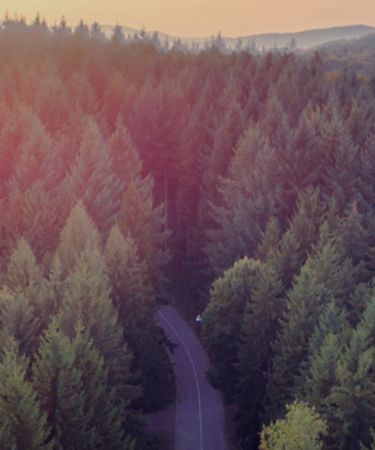 2020 Kia Niro EV J.D. Power Award