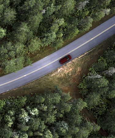 Kia vehicle driving down a forest road, bird's eye view