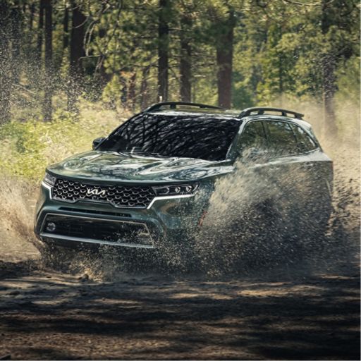 2023 Kia Sorento X-Line Driving Off Road Through Mud In A Forest