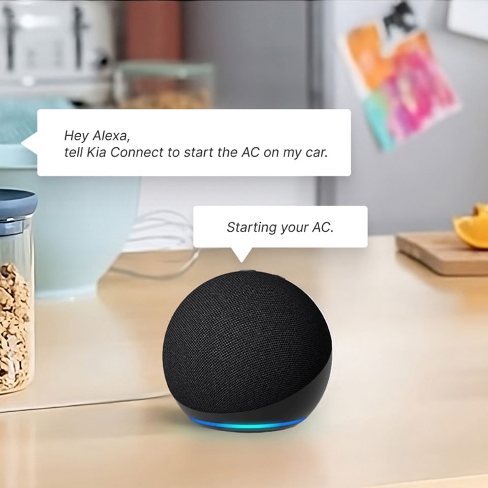 Voice Assistant