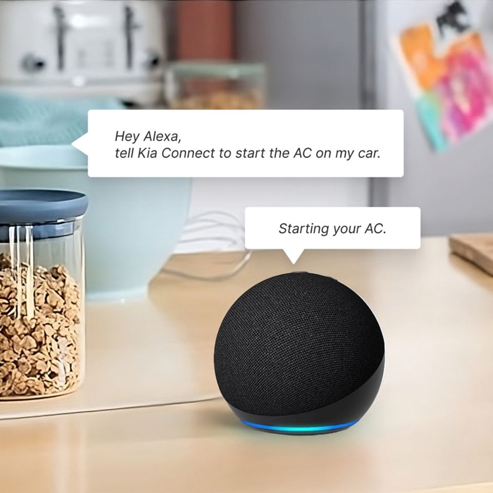 Voice assistant being used with remote start and climate control features