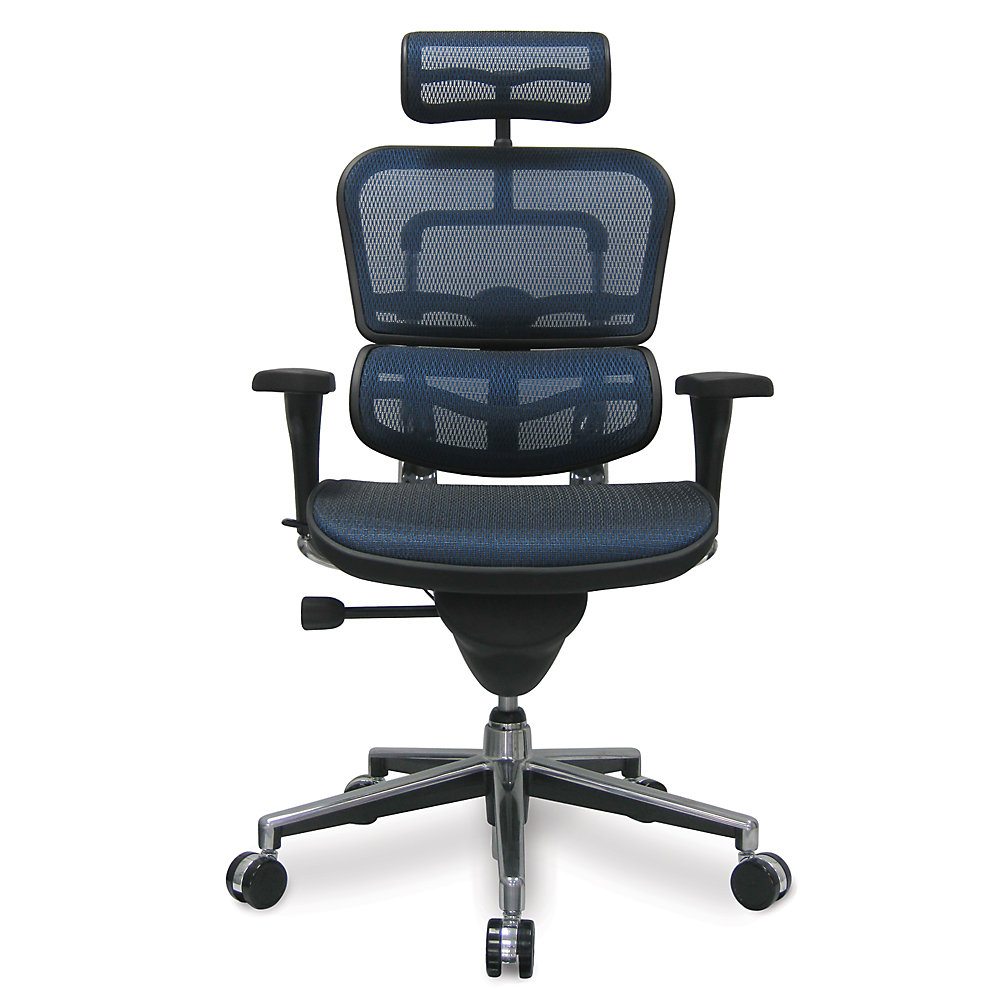 Eurotech Ergohuman Mesh Chair 18.1a”22.9″ Seat Height