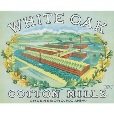 levis white oak