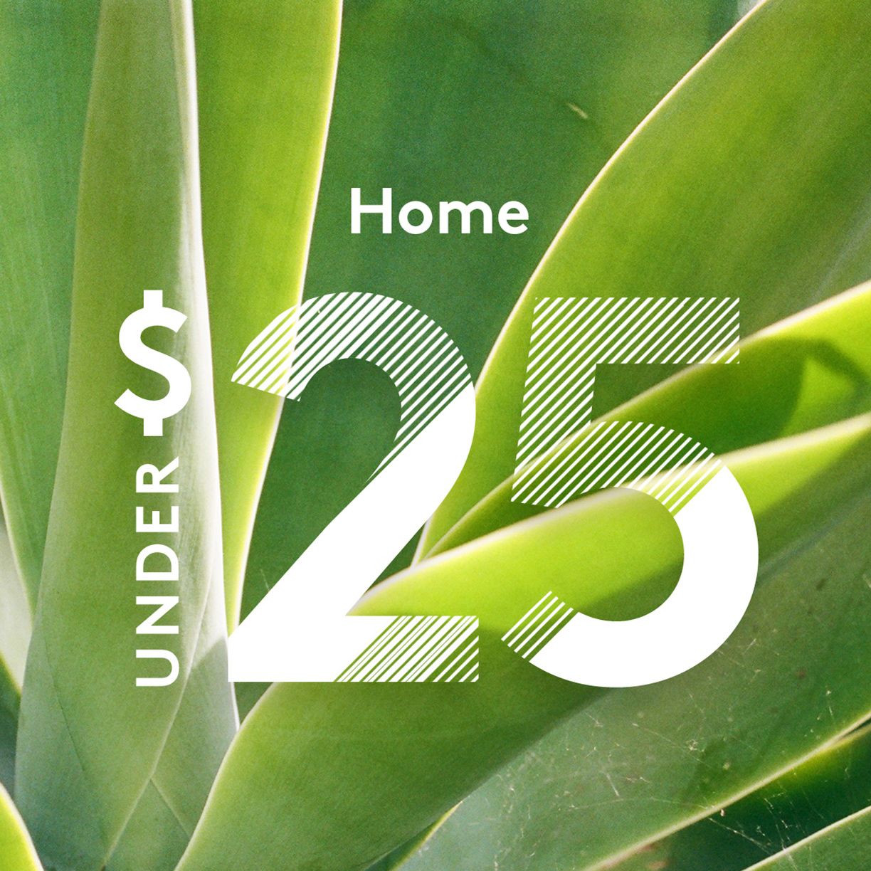 Summer Savings: Home Under $25