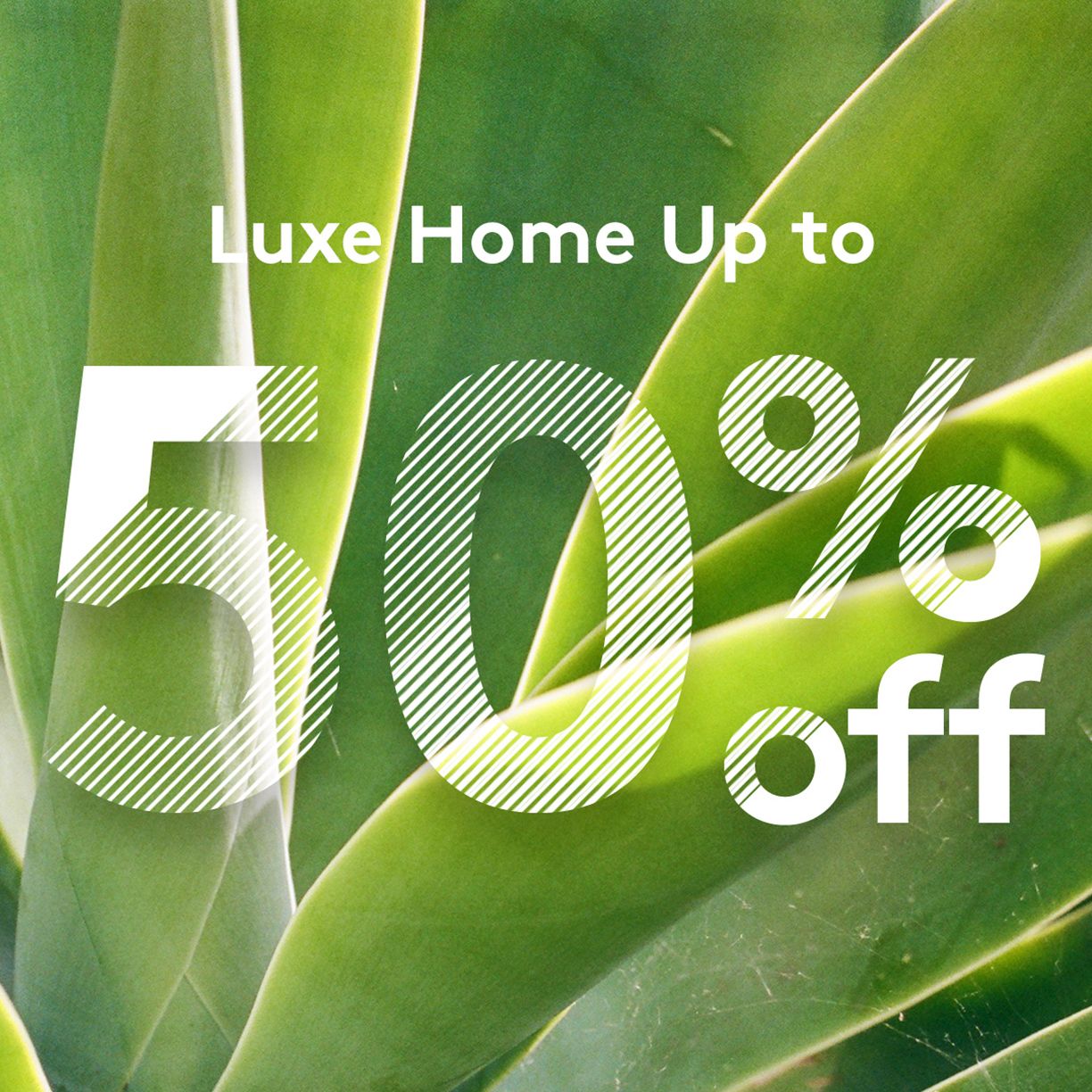 Summer Savings: Luxury Home Up to 50% Off