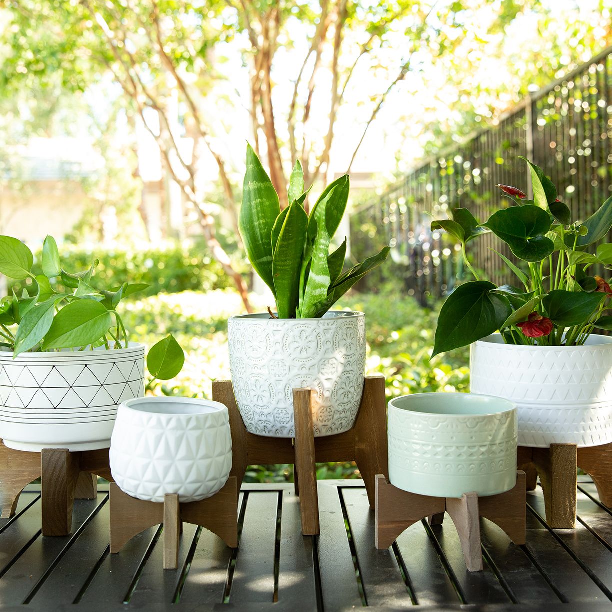 Plant Accessories & More Home Decor