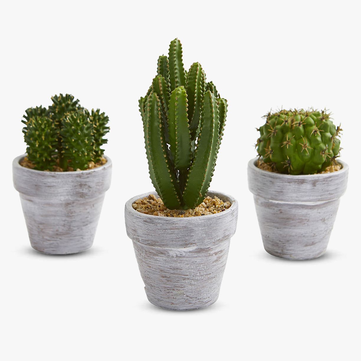 Plant Accessories & More