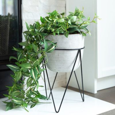 Ceramic Succulent Pots & More Planters Up to 50% Off