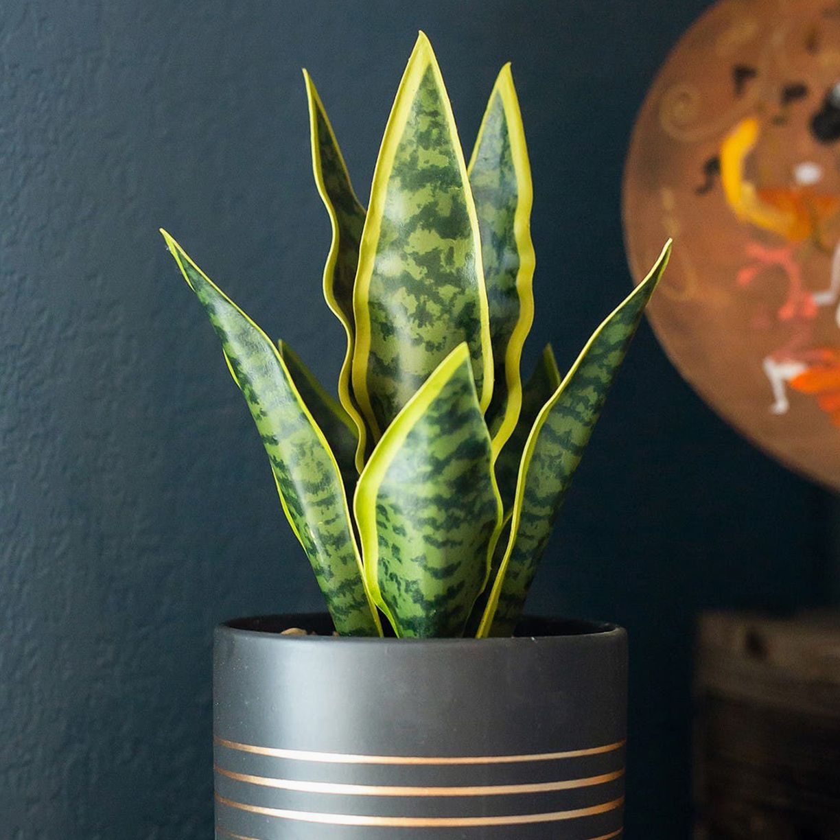 Ceramic Planters & More Up to 50% Off