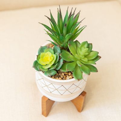 Green Thumb's Heaven Up to 50% Off