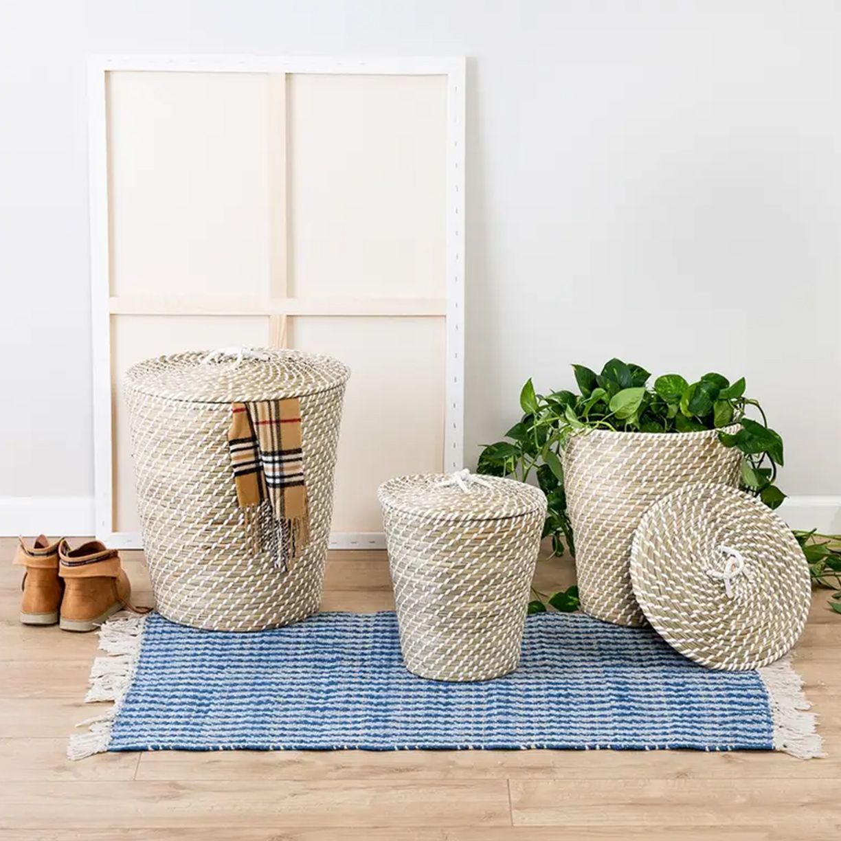 Organize Every Room Starting at $20