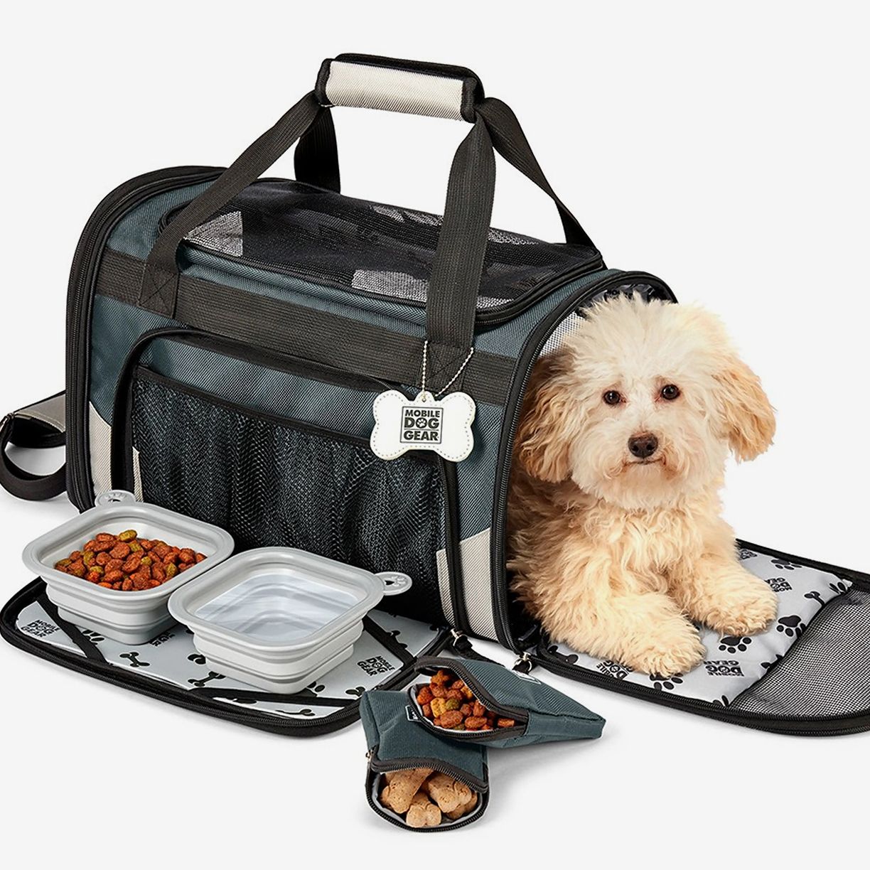 Pet Accessories Feat. Dog Water Bottles