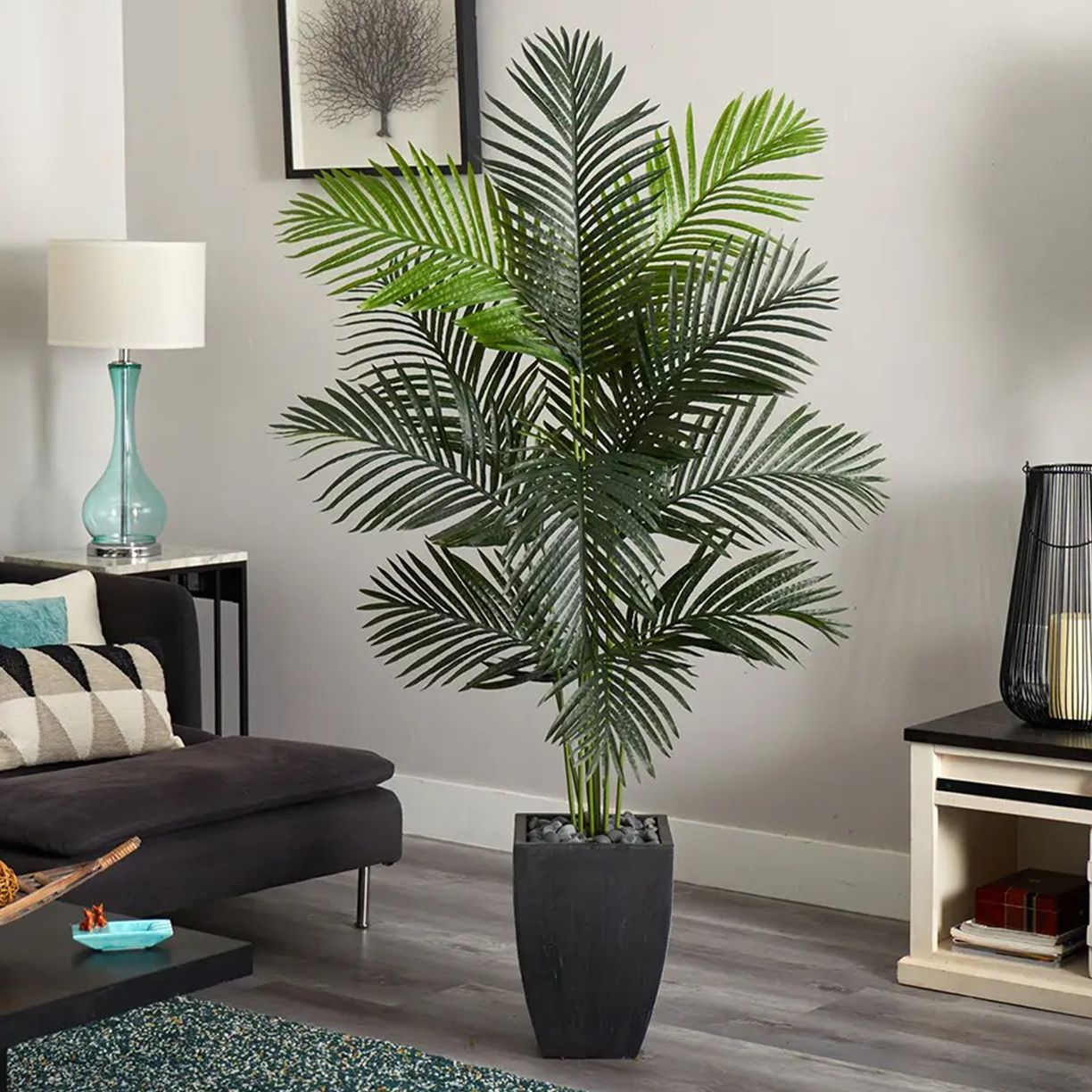 Plants You Don't Have to Water Up to 30% Off