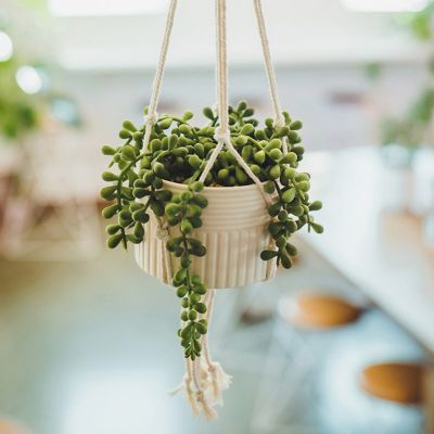 Plant Stands, Hangers, Pots & More
