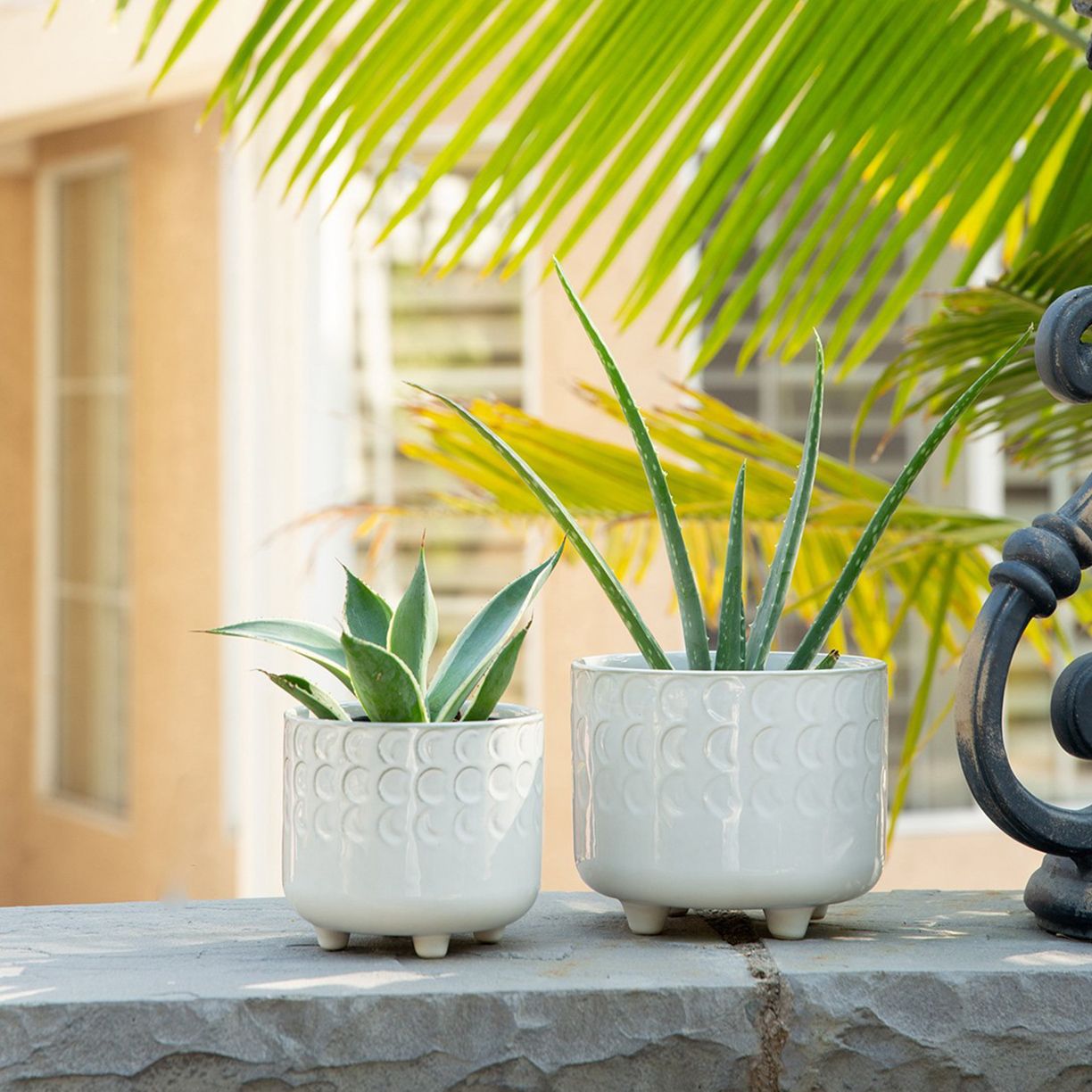 Planters Under $30