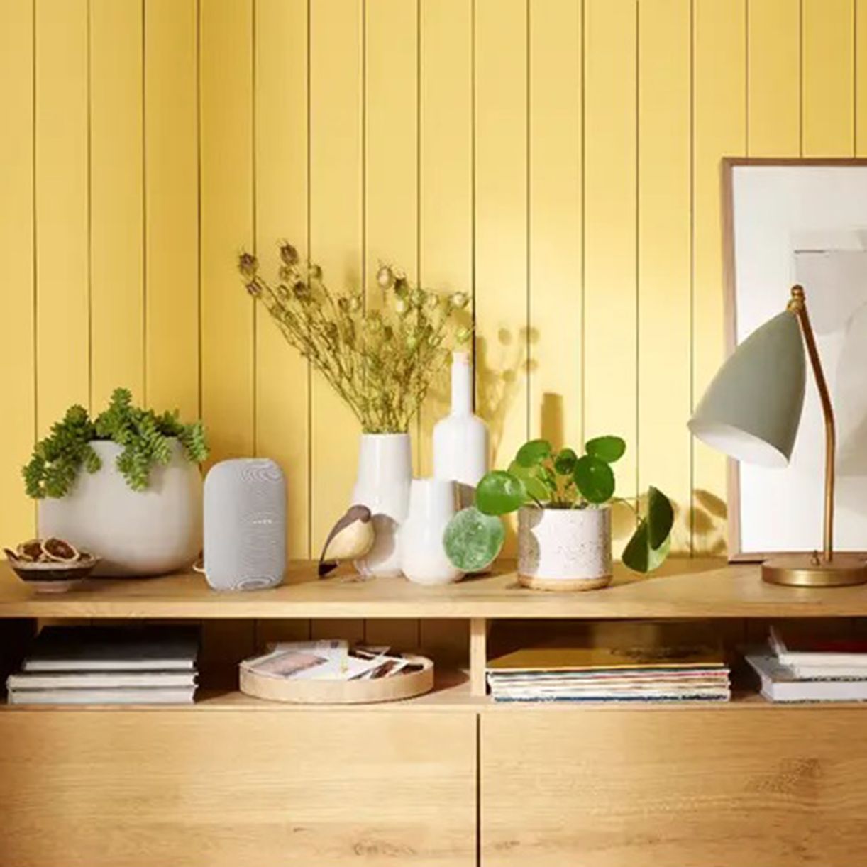 Tech & More Dorm Must-Haves