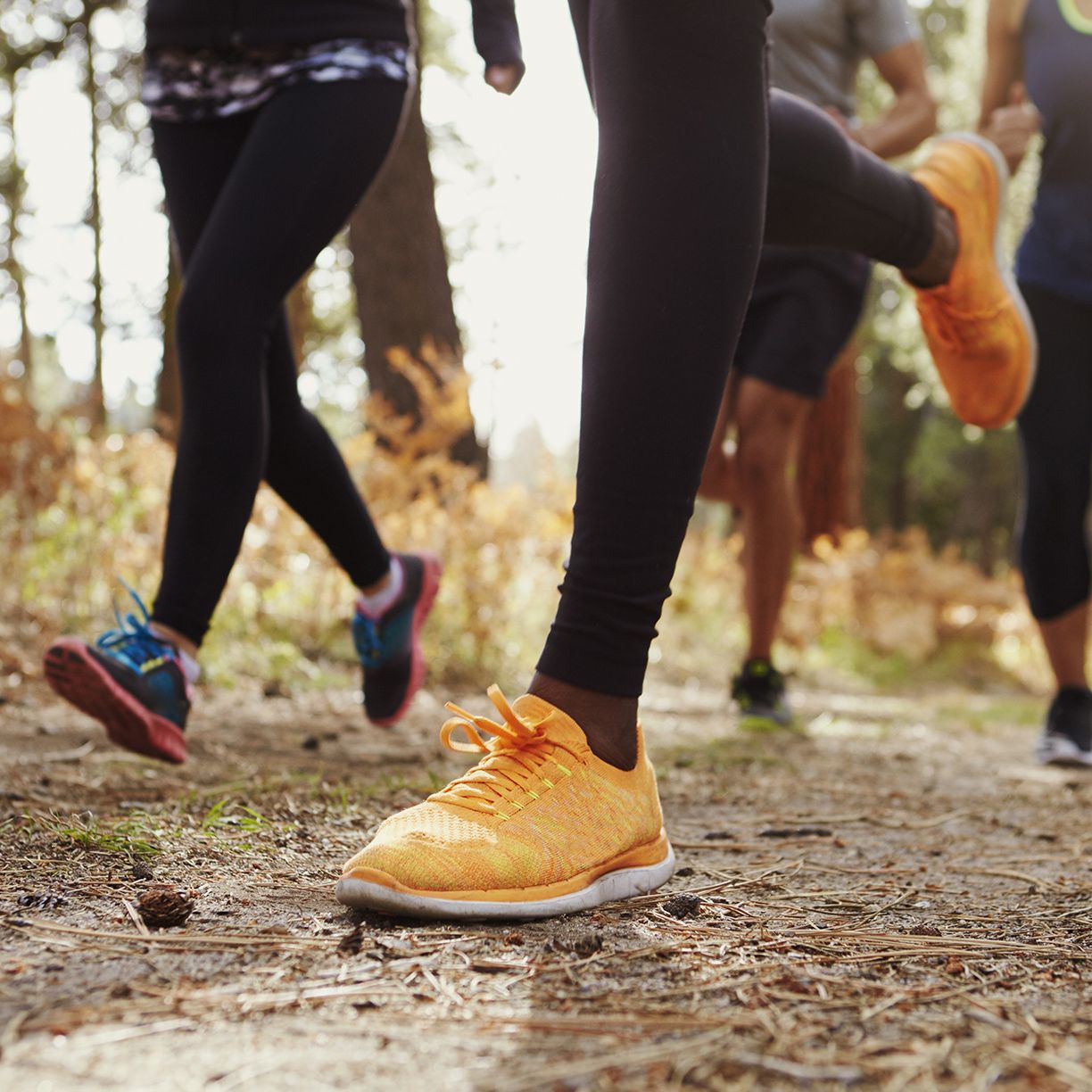Running & Training Shoes for the Family