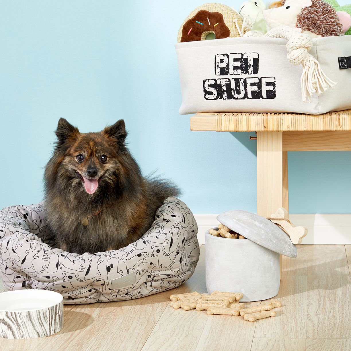 Pet Accessories Up to 50% Off