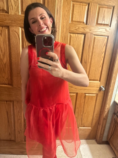 bhldn kendall sleeveless high neck organza mini dress Bhldn Kendall Sleeveless High-Neck Organza Mini Dress In Red - 29% Off