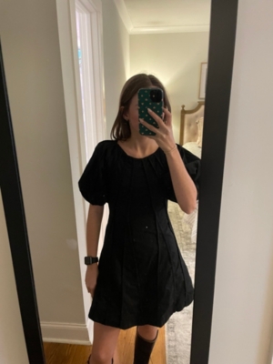 Puff-Sleeve Seamed A-Line Dress | Nuuly