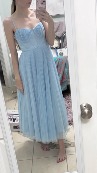 Amara Corset Pleated Tulle Fit & Flare Midi Dress | Nuuly